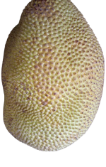 jackfruit-chips-vinamit-1