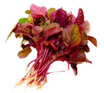 Red Spinach / Lal Shak