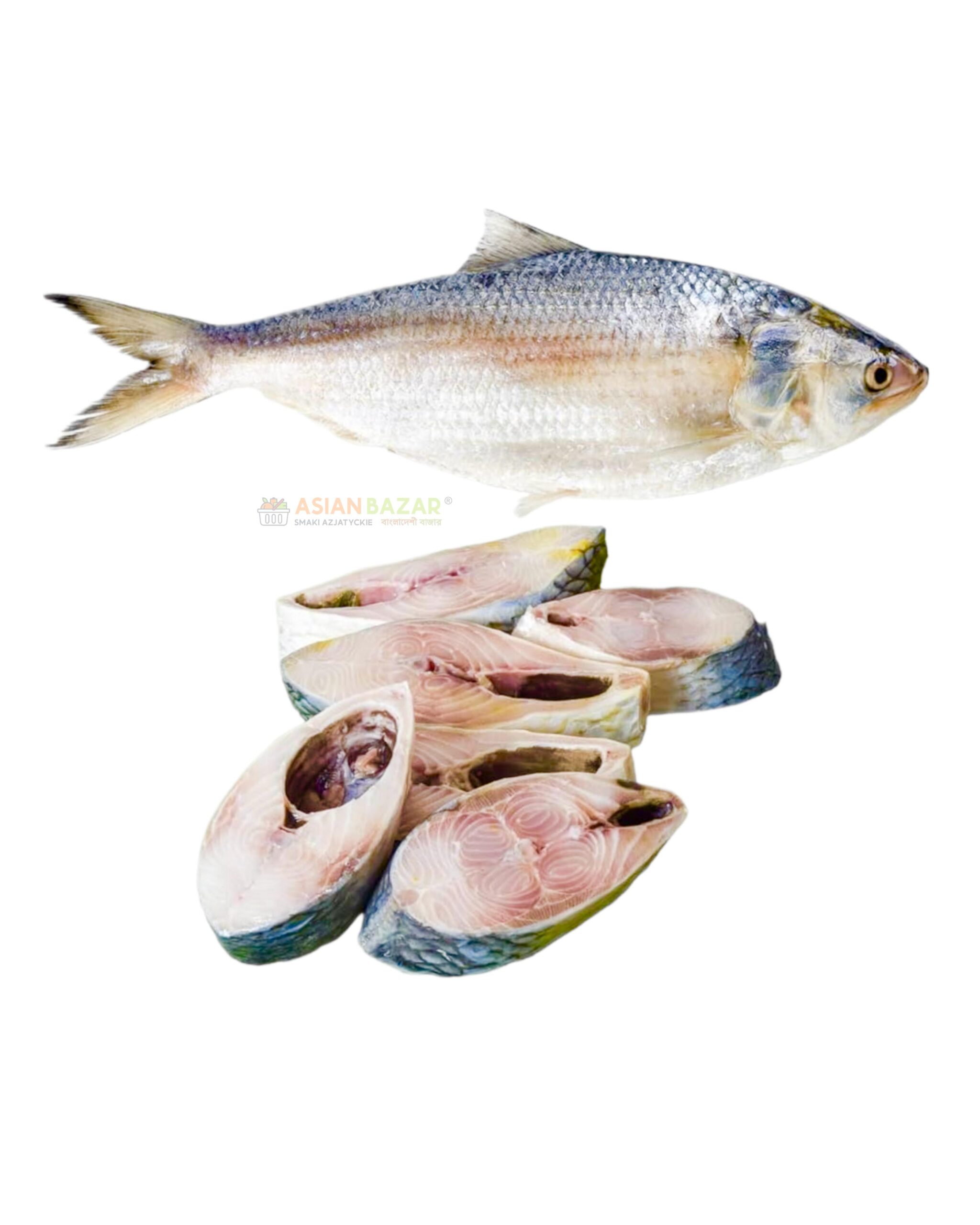 Hilsha Chadpuri / Padma ilish BD