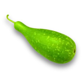 Bottle Gourd