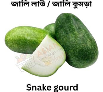Snake gourd জালি লাউ / জালি কুমড়া