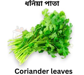 Coriander Leaves