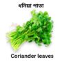 Coriander Leaves