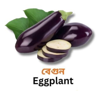 EGGPLANT বেগুন