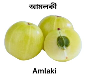 Amlaki / আমলকী