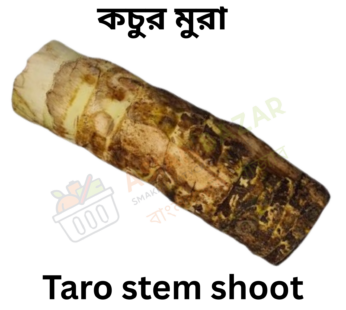Taro stem shoot / কচুর মুরা