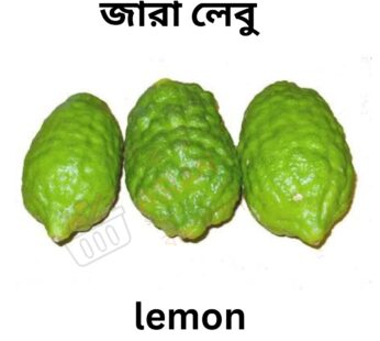 lemon জারা লেবু