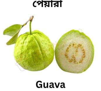 Guava পেয়ারা