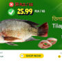 Tilapia whole