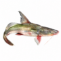 Ayre Fish BD Block Manchitra 500g