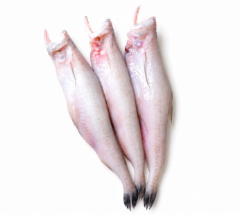 Loitta Fish BD Block Manchitra 500g